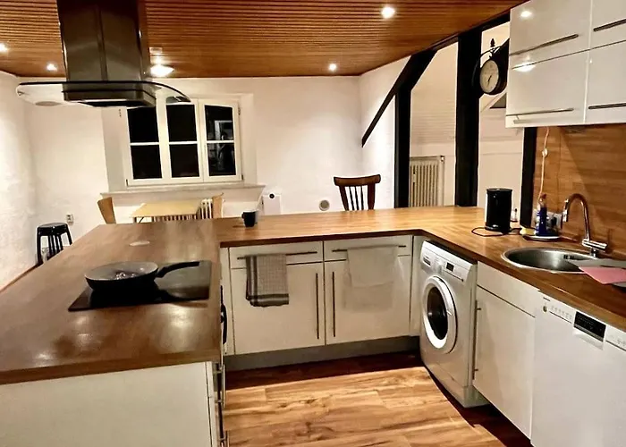 Train Fans * Зеветаль